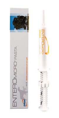 ENTEROMICRO PASTA KOIRILLE JA KISSOILLE 15 ML