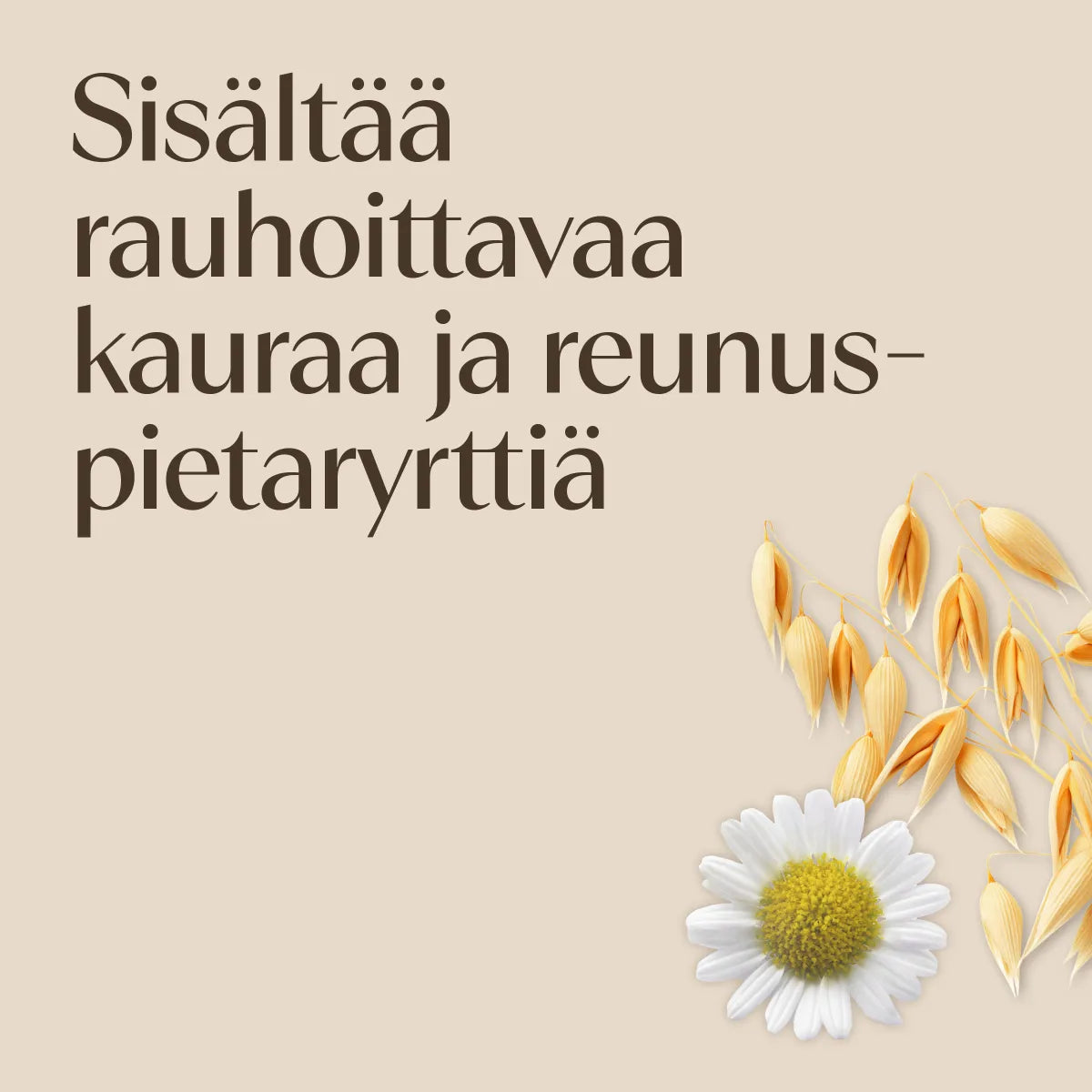 Aveeno CALM+RESTORE® Nourishing Oat Cleanser 200 ml – sisältää rauhoittavaa kauraa ja reunuspietaryrttiä