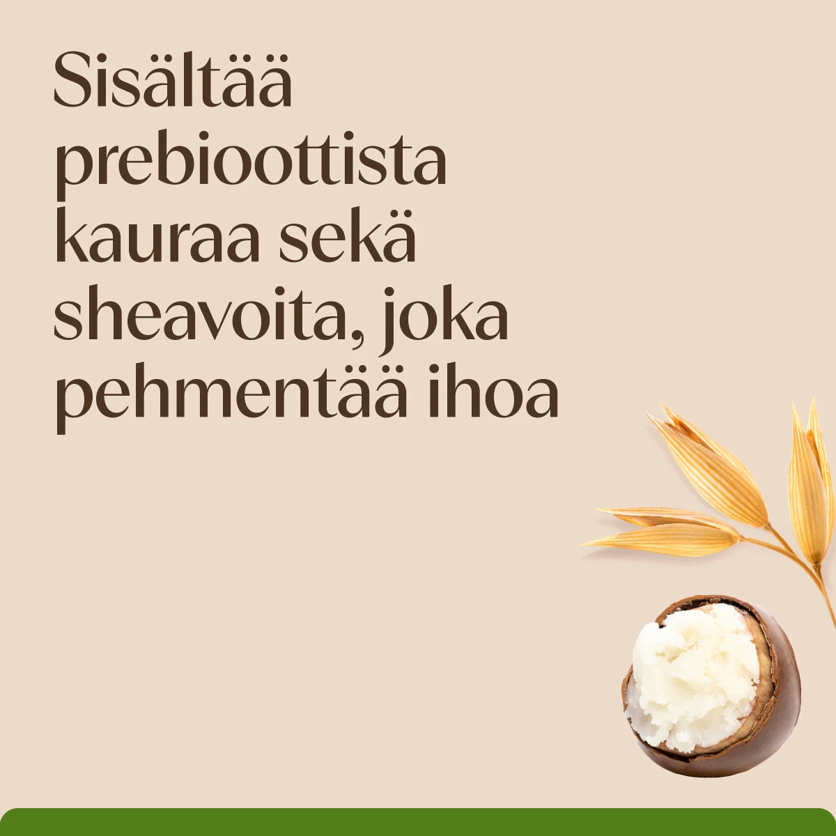 Aveeno Daily Moisturising Cream kosteusvoide sisältää prebioottista kauraa