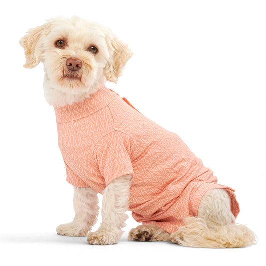 BUSTER Body Suit Stepn Go For Dogs Orange toipilaspuku koiralle, koko M