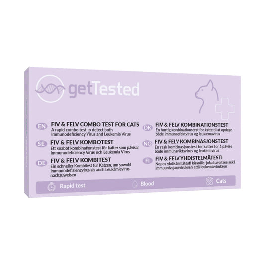 Gettested Fiv & Felv yhdistelmätesti 1 kpl