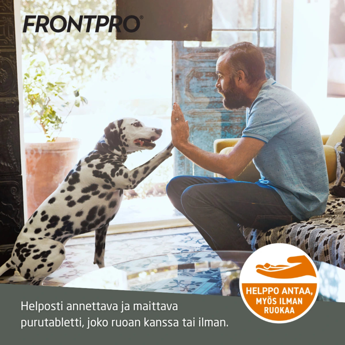 Frontpro on helposti annettava ja maittava purutabletti