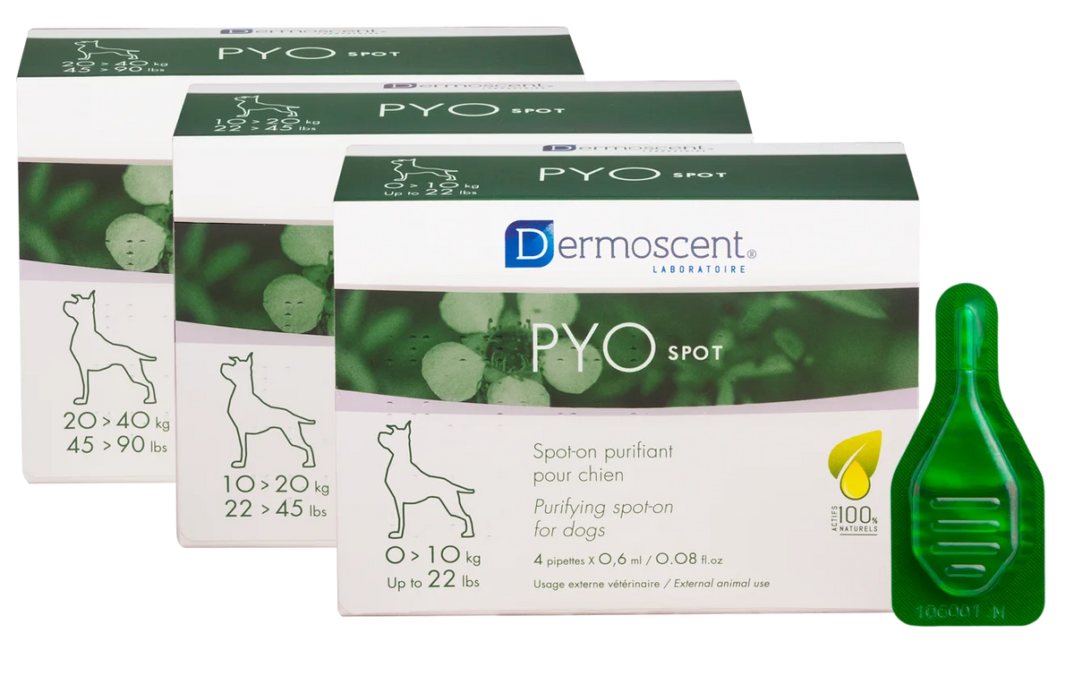 PYOSPOT Dog spot-on puhdistava paikallisvaleluliuos 0-10 kg koirille 4x0,6 ml