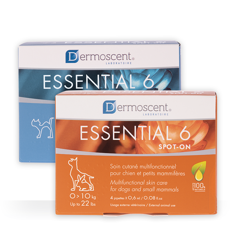 DERMOSCENT Essential 6® spot-on rasvahappovalmiste, koiralle 20-40 kg 4 pipettiä