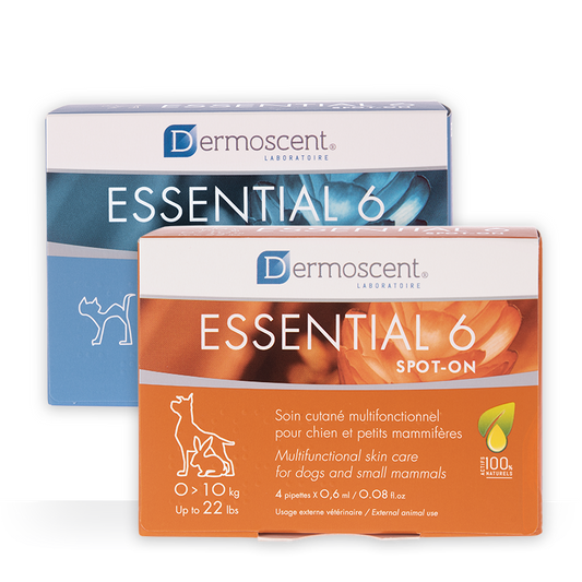 DERMOSCENT Essential 6® spot-on rasvahappovalmiste, koiralle 20-40 kg 4 pipettiä